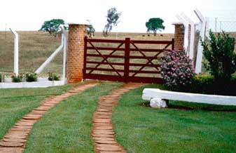 Cia Paulista - Foto 1