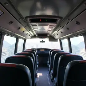 Ônibus de Petrolândia para São Paulo