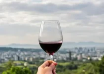rotas do vinho de SP