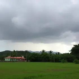 região de Ribeirão Preto, SP