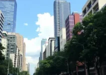 Nos Bastidores de São Paulo