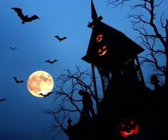 Halloween em São Paulo