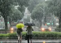 forte chuva Brás