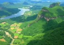 Terra Brasilis